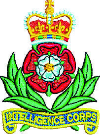 Intelligence corp hoodie
