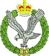 Army Air corp  Sweatshirts