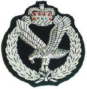 Army Air corp Blazer Badge